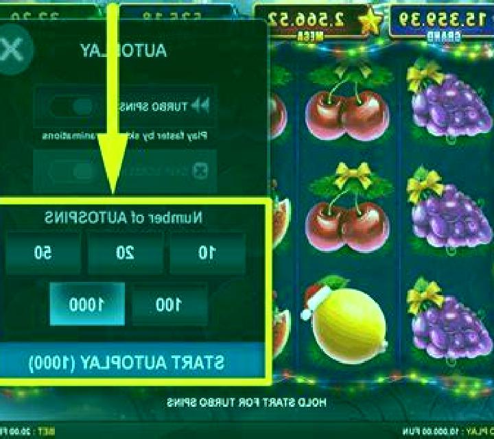 5 Christmas Fruits slot