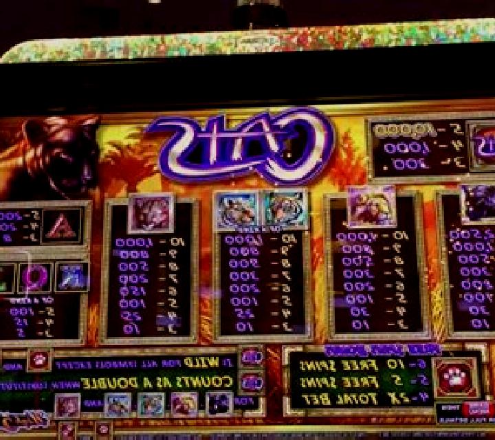African Cats slot machine