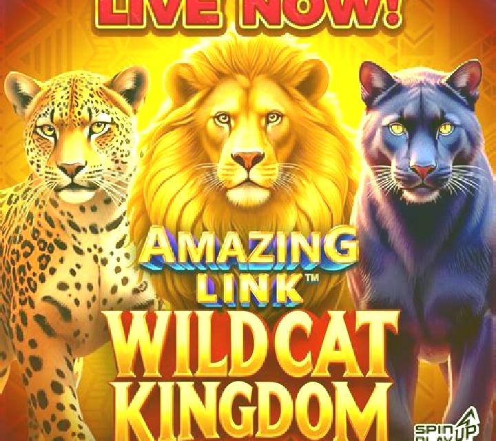 Amazing Link WildCat Kingdom slot game