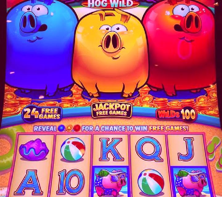 Angry Piggies slot machine