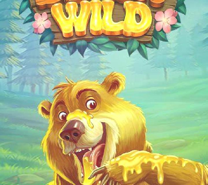 Beary Wild online slot