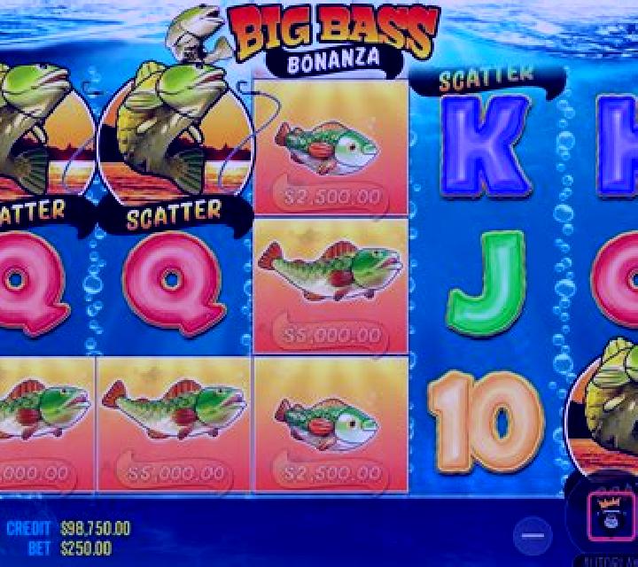 Big Catch Bonanza: Perfect Haul slot