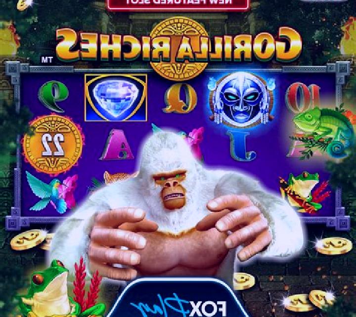 Bingo (Spigo) slot