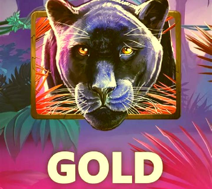 Black Panther slot game