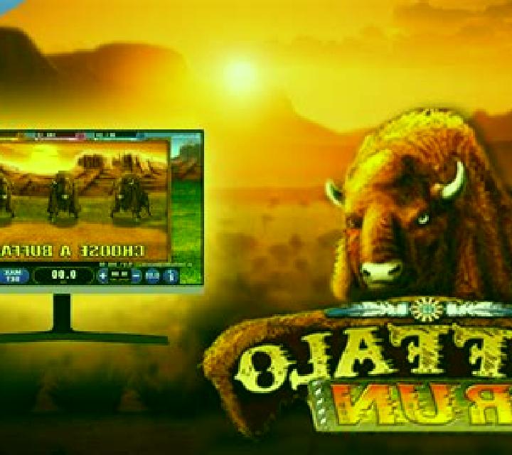 Buffalo Run slot game