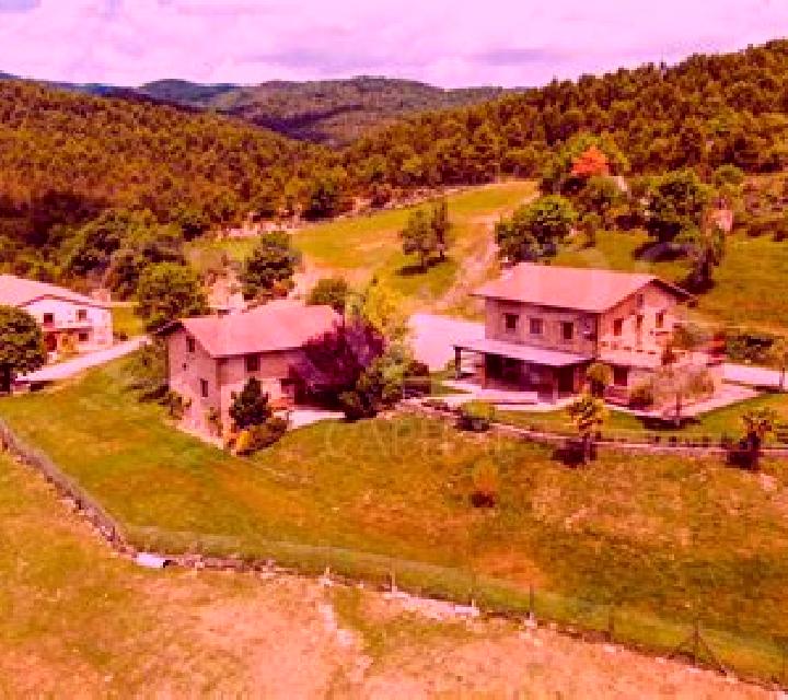 Carnaval Fiesta online slot