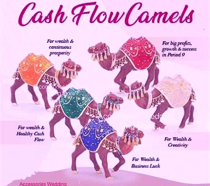 Cash & Camels slot