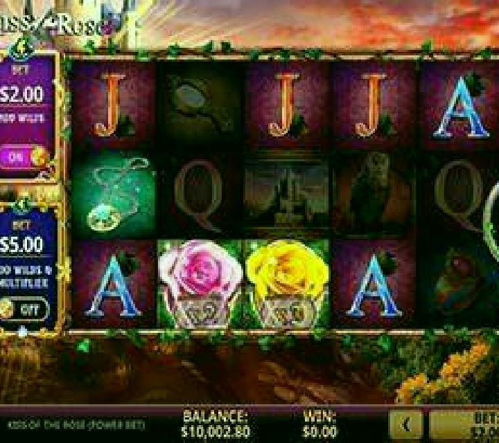 Chill Penguin slot game