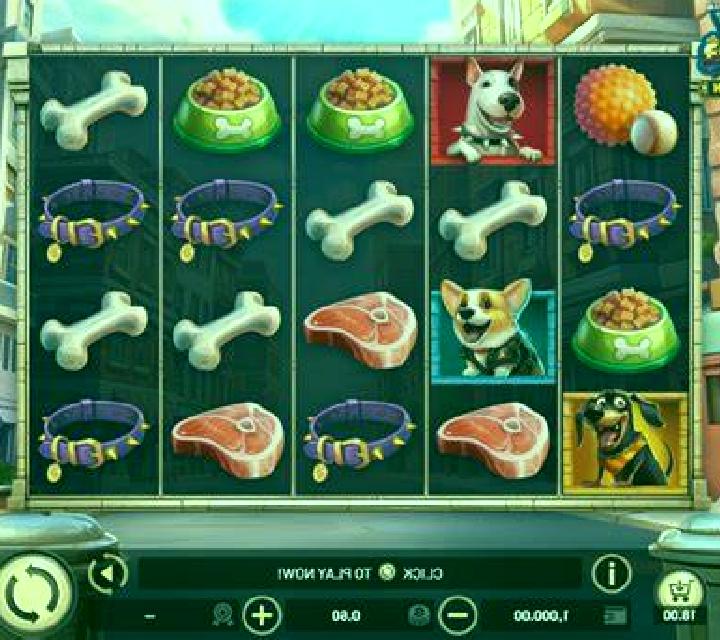 City Dawgs - Hold & Win slot machine