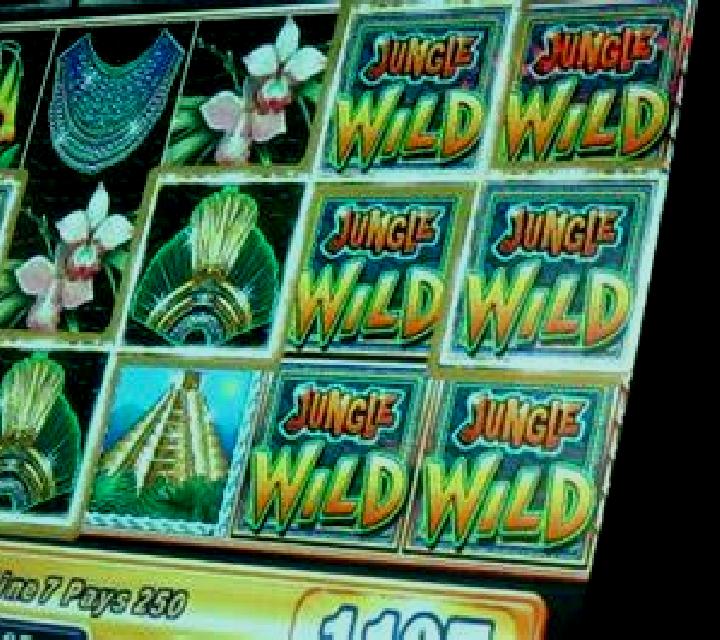 Clover Goes Wild online slot