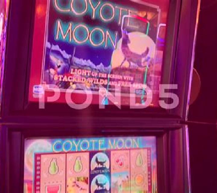 Coyote Canyon online slot