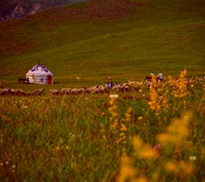 Crazy Faces slot game