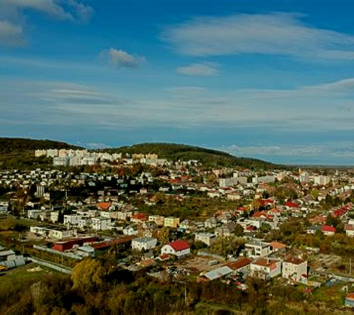 Domnitors slot machine