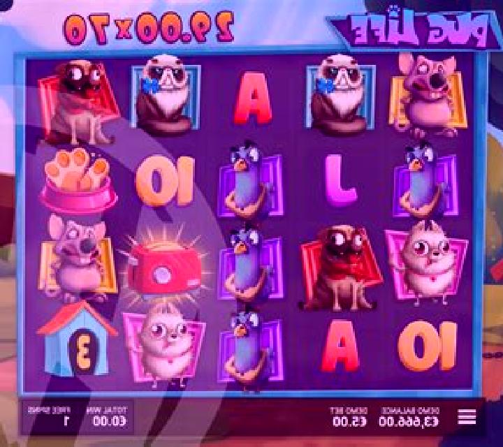 Double Exposure BlackJack (BGaming) online slot