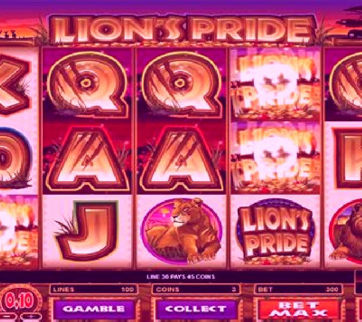 Dr. Porcus slot machine