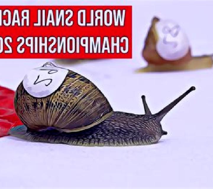 Fast Snail Racing slot machine
