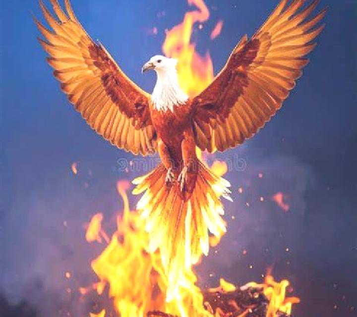 Fire Eagle slot