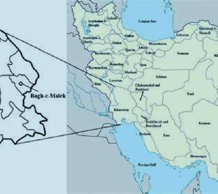 Firecracker Frenzy Empress Wealth slot