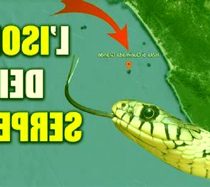 Fish & Spins online slot