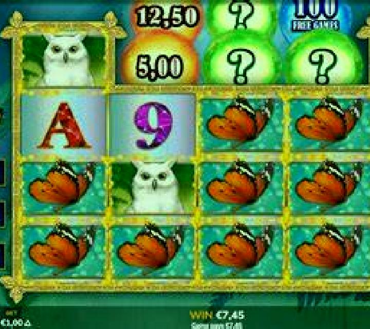 Foxpot slot game