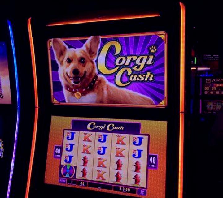 Froot Loot 5-Line slot game