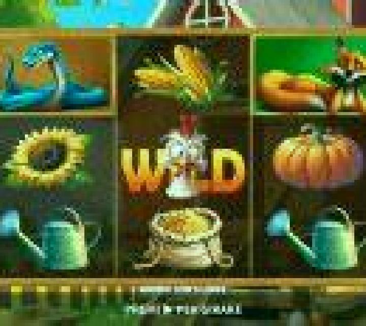 Gallina Pazza slot machine