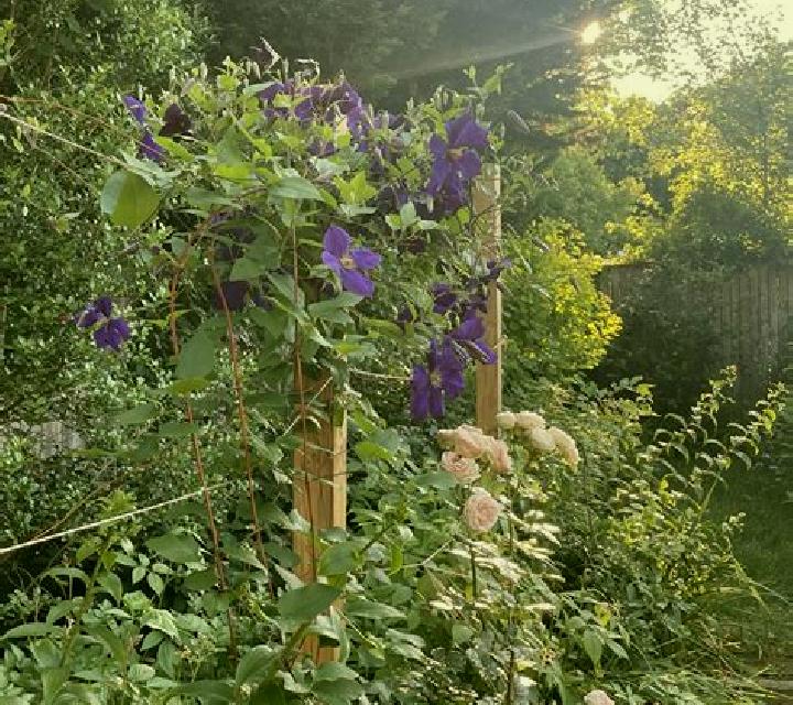Gardener slot