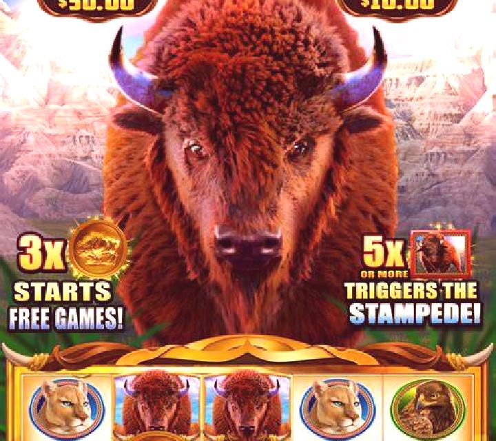 Goal (GameX) slot