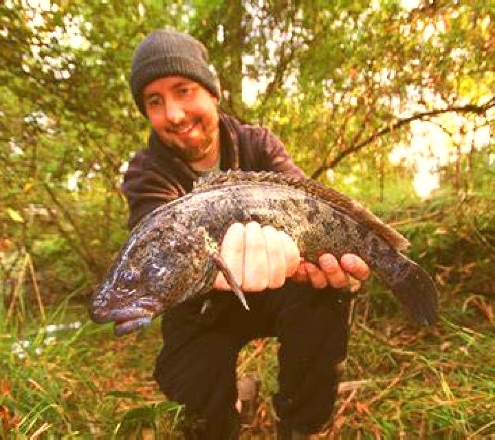 Gold Fishing slot machine