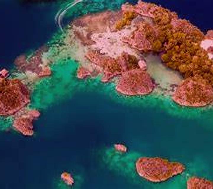 Granny Disco Frenzy slot machine