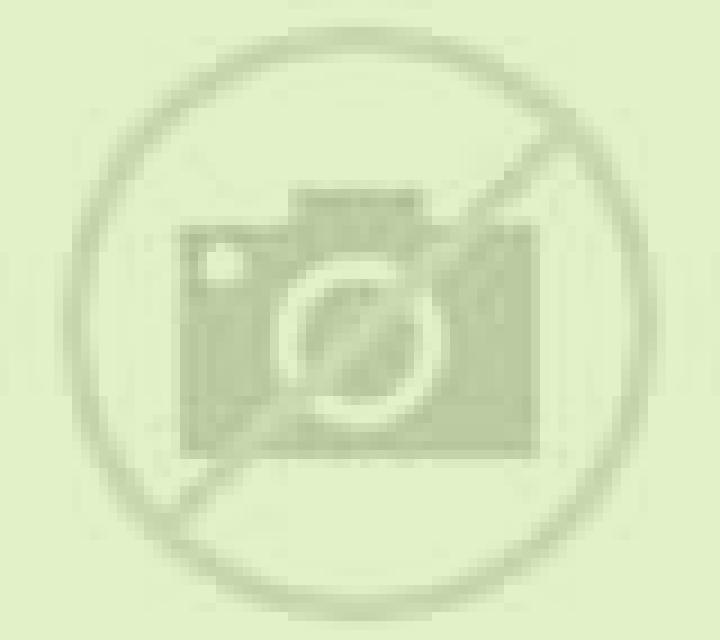 Honey Rush Black and Yellow slot game