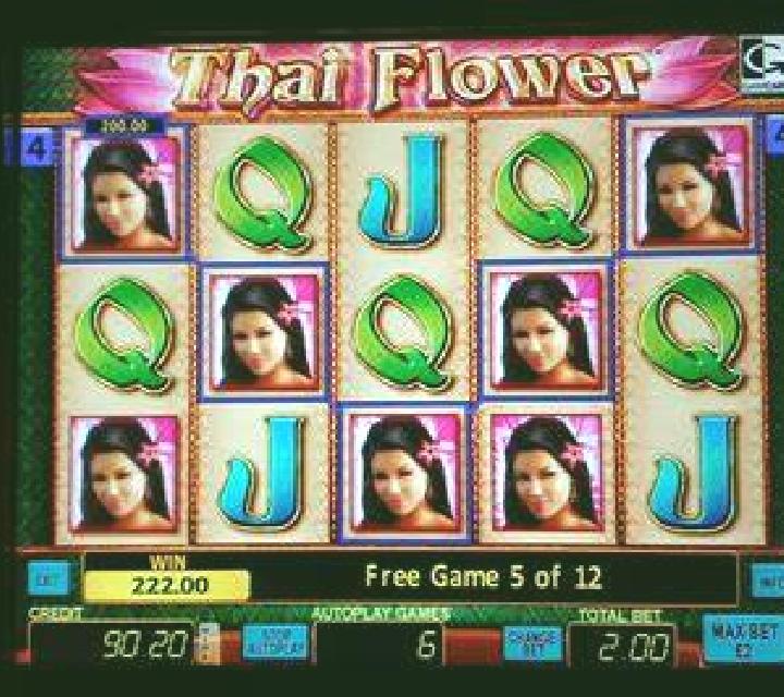 Japanorama slot machine