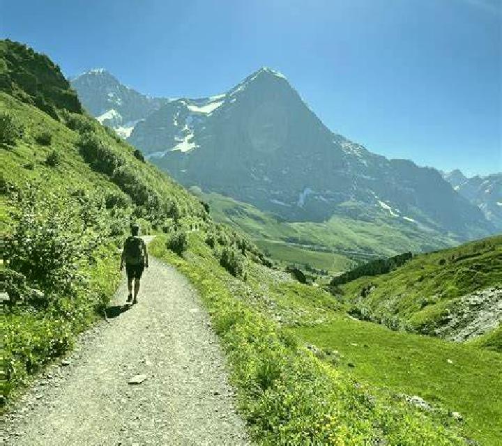 Jungle Dash Series slot