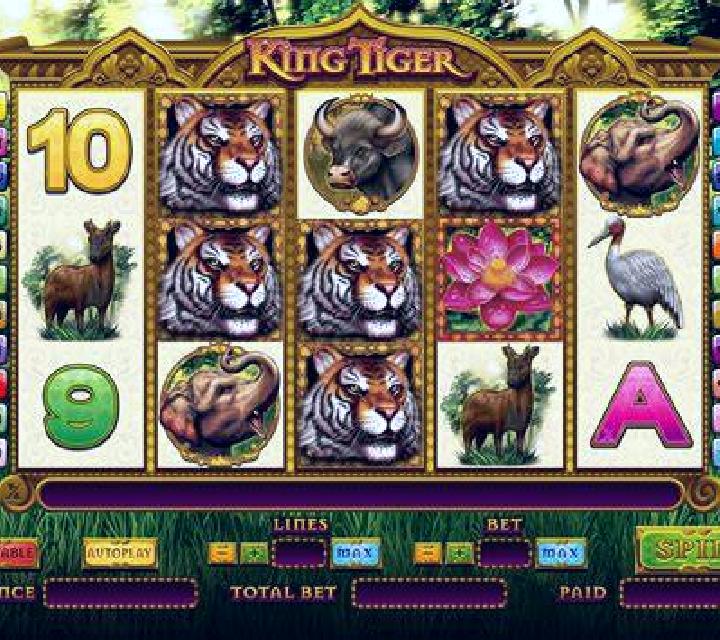 King Tiger slot machine