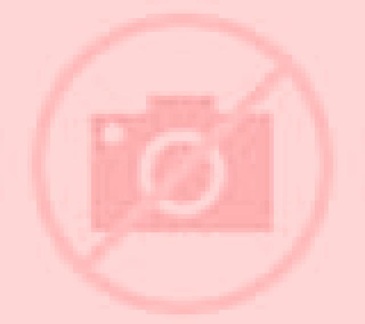 Lotus Lantern online slot