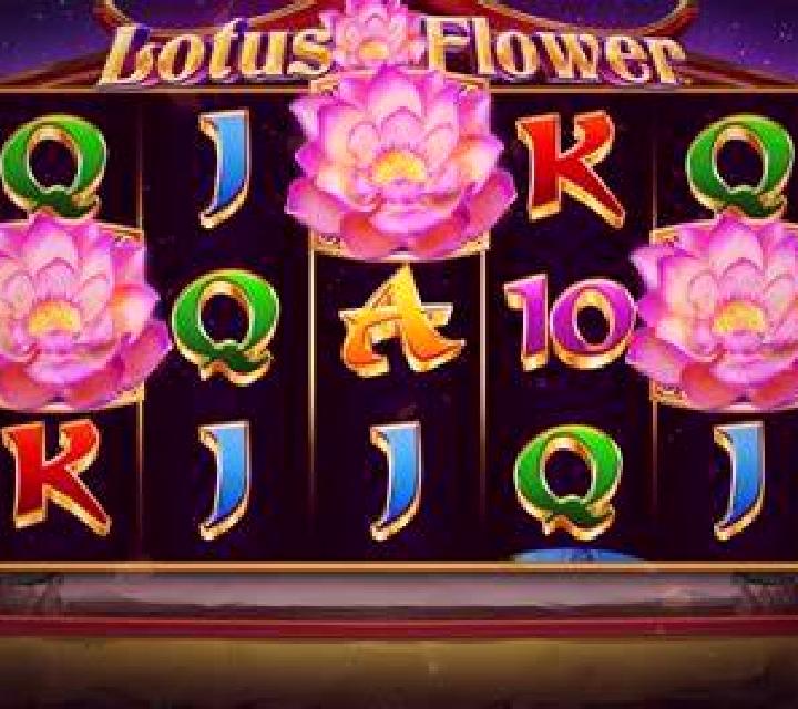 Lotus slot game