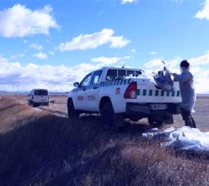 Money 5 online slot