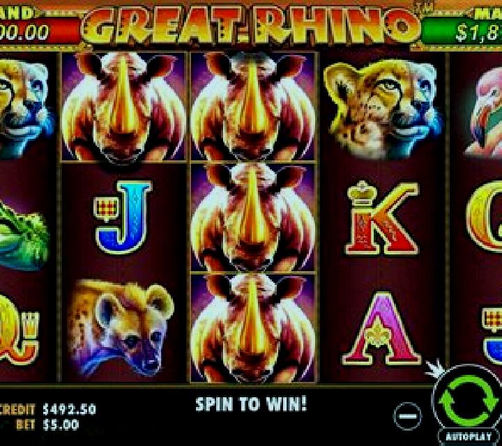 More Cash online slot