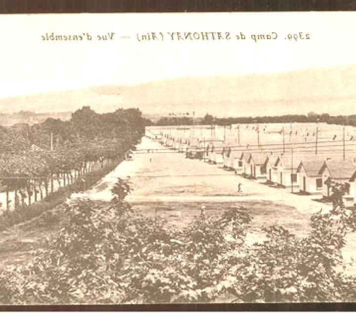 More Monkeys - Stellar Jackpot slot machine