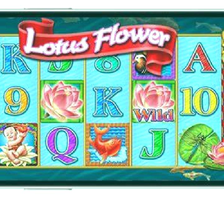 Ninja Frog online slot