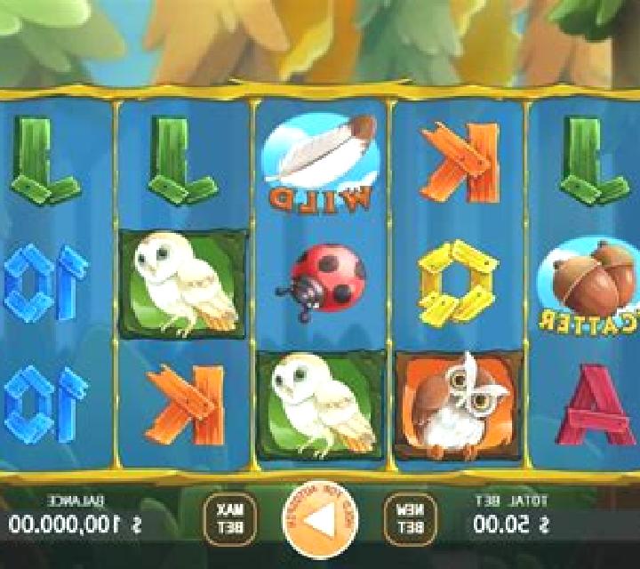 Owl In Forest slot