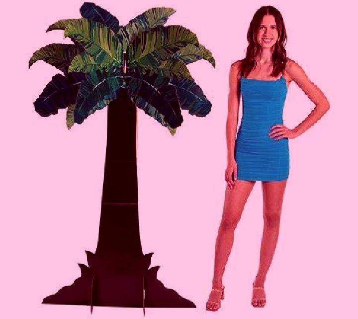 Palm Nights online slot