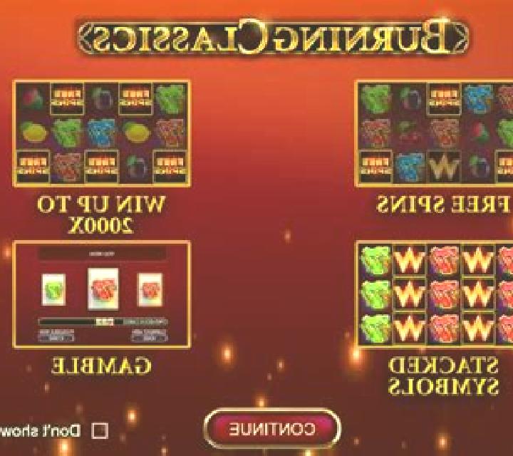 Paywire slot game