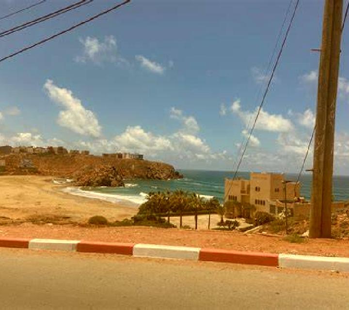 Photo Safari online slot