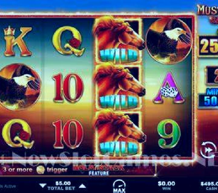 Plinko Crypto slot