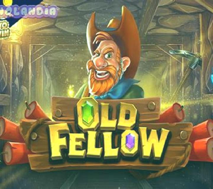 Princess Fortune slot game
