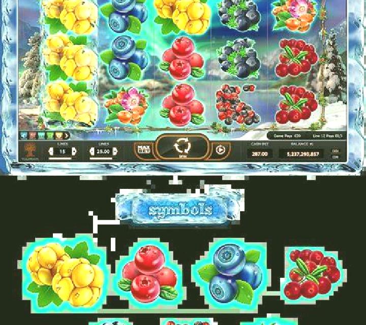 Princess Fortune slot