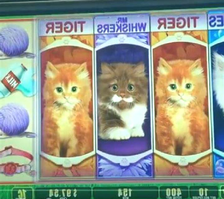 Puppies and Kittens slot