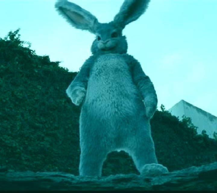 Rabbit In The Hat 2 slot game