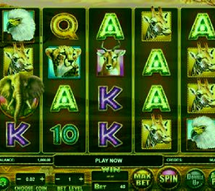 Rex Brothers slot